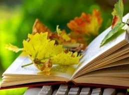 가을, 독서의 계절이 돌아왔다!
