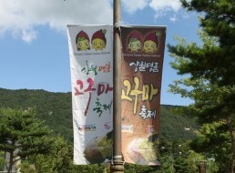 상월의 축제, 고구마 축제